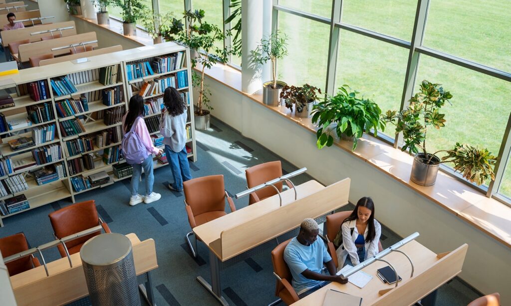 Estudiantes internacionales: ¡Comiencen su trayectoria académica aquí!